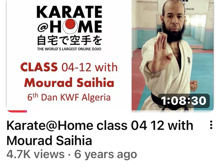 KARATE@HOME Class 04-12 mit Mourad Saihia