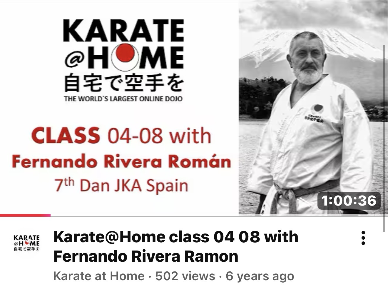 KARATE@HOME Class 04-08 mit Fernando Rivera Román
